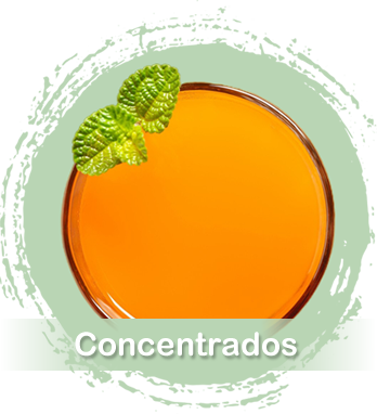 Concentrados de fruta